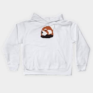 red Panda Kids Hoodie